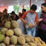 Festival Ratu dan Raja Buah Kabupaten Bogor Digelar di Cibinong, Durian dan Manggis Dibidik Pasar Global
