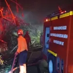Lahan di Rumpin Bogor Terbakar Diduga Gegara Puntung Rokok, Api Padam dalam Satu Jam